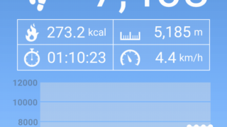 8時から18時の間は、ひたすら歩いておりました