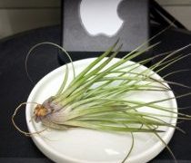 ローテーション