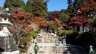 今年も色鮮やかな紅葉でした