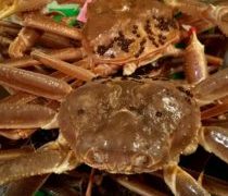 茶わん蒸しは奥ゆかしい