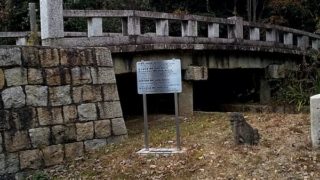 埋立地でも50年たてば樹木も繁る