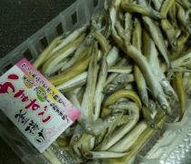 大きいものが良いとは限りません