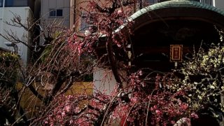 悪筆は心を込めても悪筆です