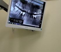 2月に入ってだれてます