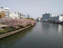 お散歩は途中で離脱