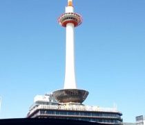 昨夜からの雨はお昼過ぎには晴天になりました