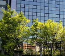 リモート勤務は自由選択