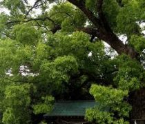 お昼の時点で債務超過