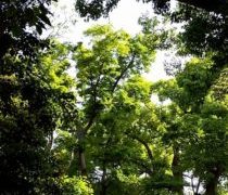 将来の隠居親父の見込み数字