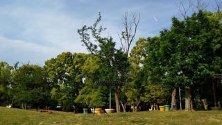 今回はぱっつんならずにぴったりサイズ