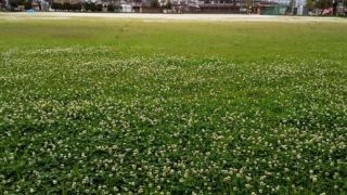 生卵は物価の優等生