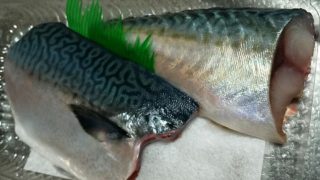 旬の寒鯖そろそろ終了