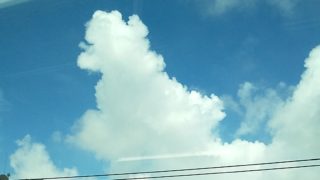 巷の空気は暑いだけではなさそうです