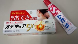 いただいたもの