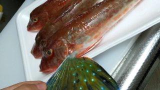 ちょっと前まで高級魚