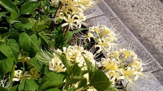 お替り多めで！