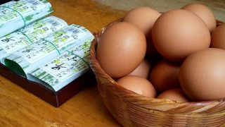 ブーちゃん進行1日目