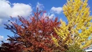 お仕事スカスカ