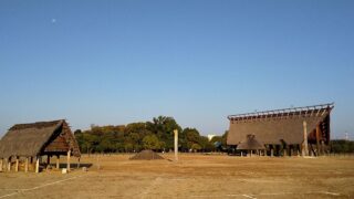 綺麗な紅葉始まりました