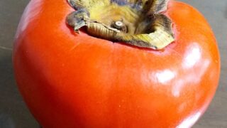 酔い覚めには柿が有効