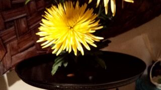 8連休の実証結果