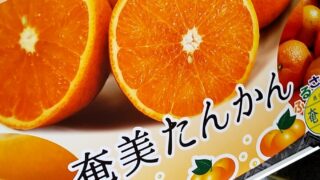 たんかんの美味しい旬は2月から