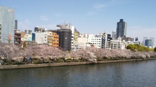 花も話も満開です