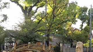 本日もいろんな言い訳しながら食べ過ぎました