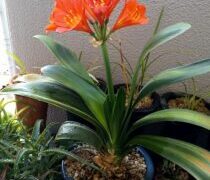 余裕時間が広がりました