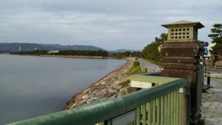 シノブさま、半日陰の空中湿度が高い環境を好むそうです