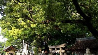 体重変動変化なし