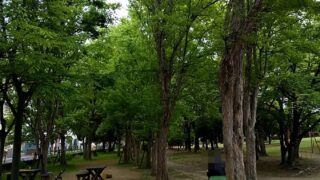 知らなければ、忘れることもございません