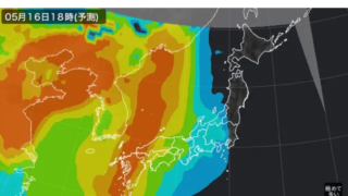 油でコーティングされた炒飯は、白米よりも消化吸収が緩やか？