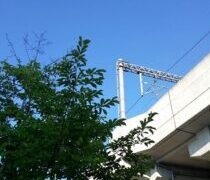 岩牡蠣はお名前通り岩でした