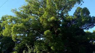 再びですが、白のカッター日頃の準備が大切