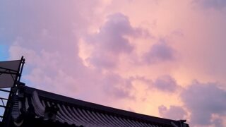 短い時間で得られるものはそれほど無いと思います