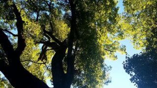 親父だけのグループおられません