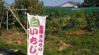 職場は仕事以外の雑務なし