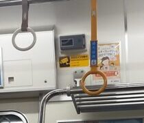 昼の悩みは夜のポンポンシャワシャワで消えました