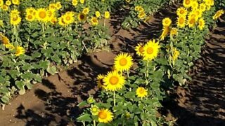 自由時間の課題