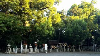 昼間はまだまだ熱暑が続く