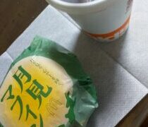 優勝の経済効果、ナツメ球の交換は本体交換となりました