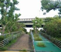 雑草と呼ぶと怒られそう