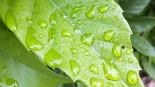 3連休も本日終了