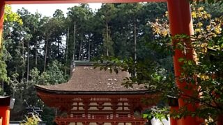 三連休が始まりました