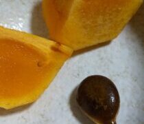 柿の種やあさりにも幸せ感じることもあります