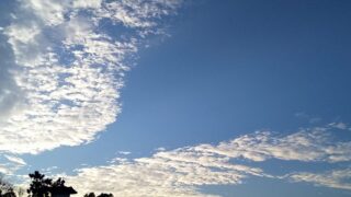 勤労感謝も祝日です