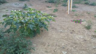 朝6時過ぎでもまだ暗い