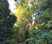 連休二日目、年間72,000円の流失抑制