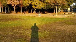 お休み始まりました